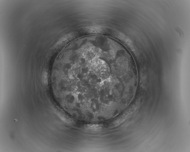 X0000111830161200907231324