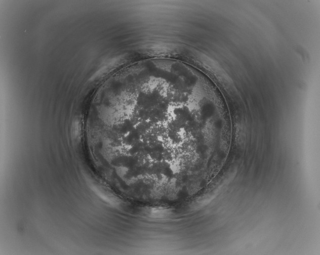 X0000111830165200907231324