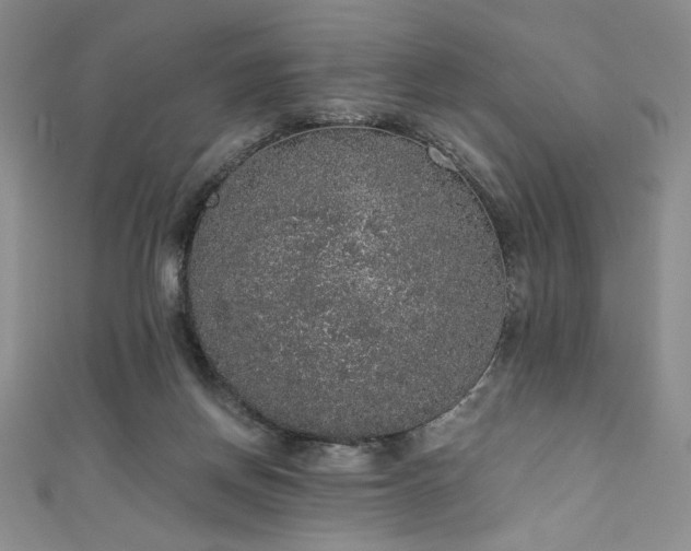 X0000111830166200907231324