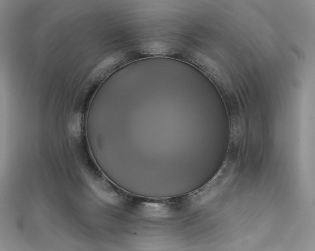 X0000111830167200907231324
