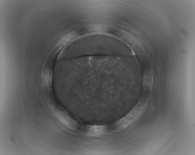 X0000111830168200907231324