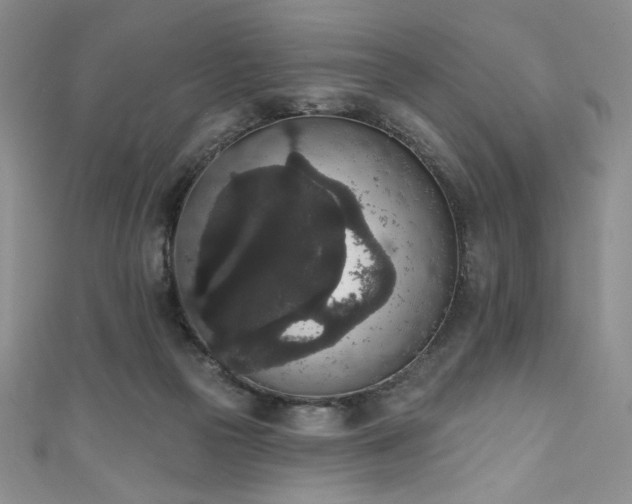 X0000111830169200907231324