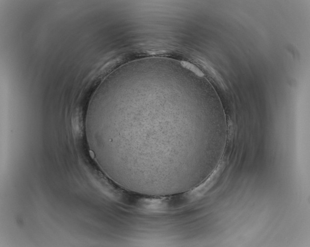 X0000111830170200907231324