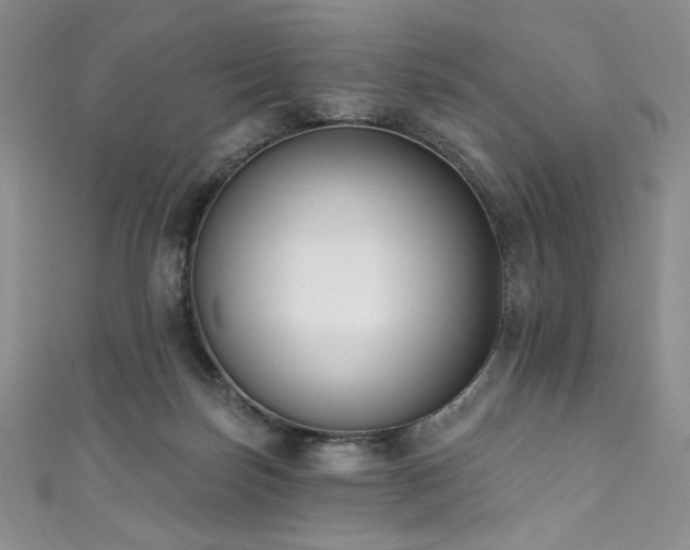X0000111830171200907231324