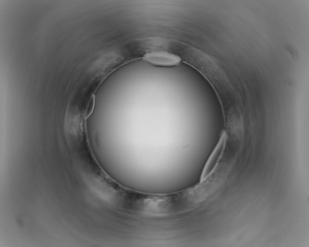 X0000111830172200907231324