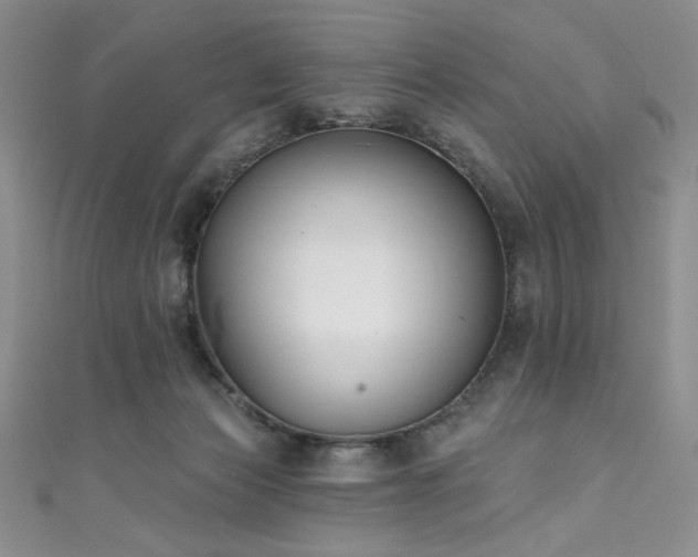 X0000111830173200907231324