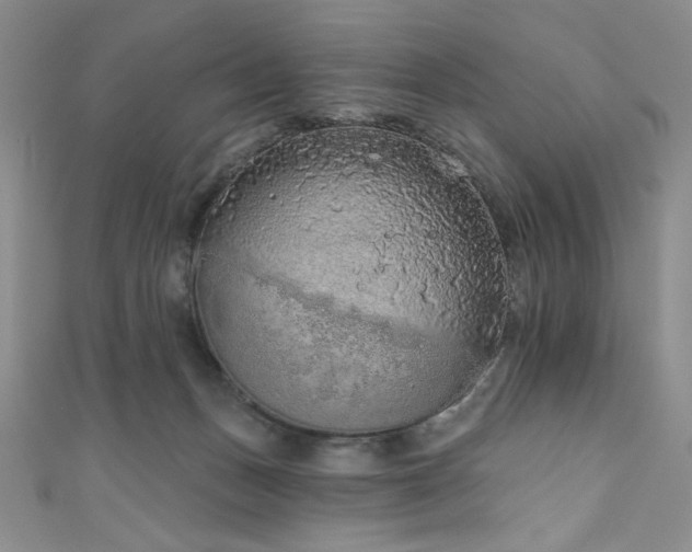 X0000111830175200907231324
