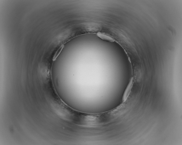 X0000111830176200907231324