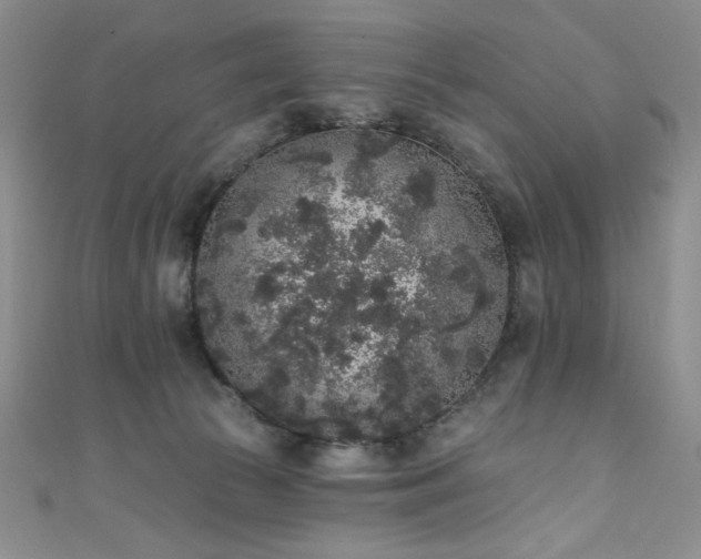 X0000111830177200907231324