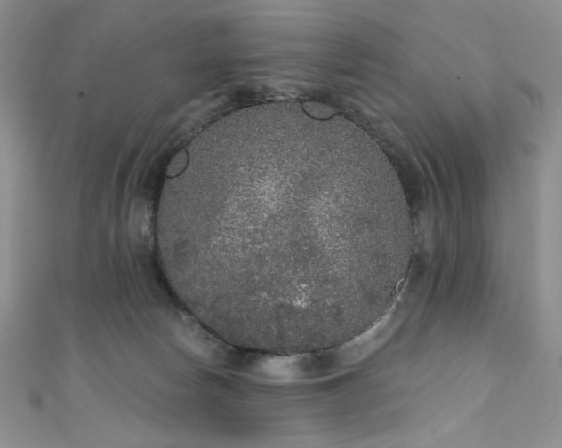 X0000111830178200907231324