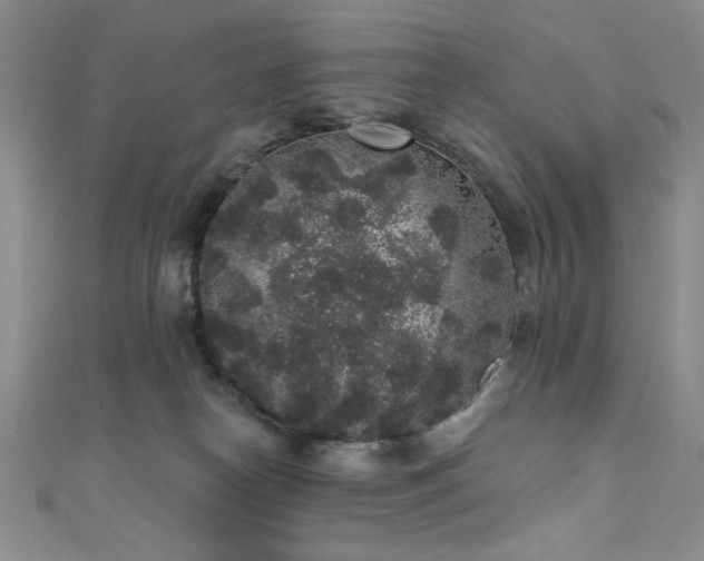 X0000111830182200907231324