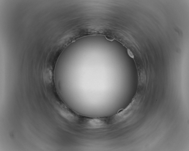 X0000111830183200907231324