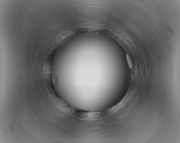 X0000111830184200907231324