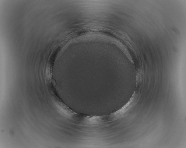 X0000111830186200907231324
