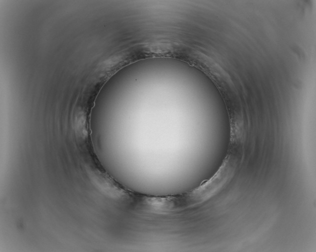 X0000111830187200907231324