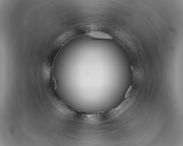 X0000111830188200907231324