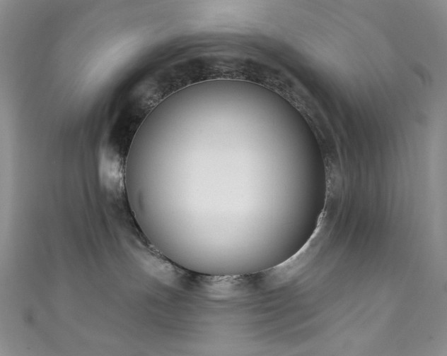 X0000111830191200907231324