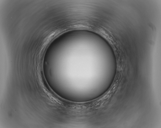 X0000111830193200907231324