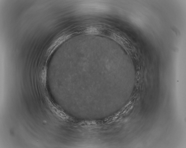 X0000111830194200907231324