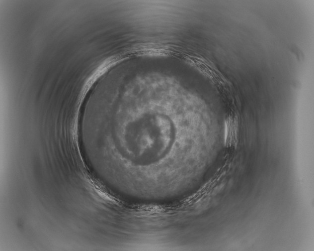 X0000111830195200907231324