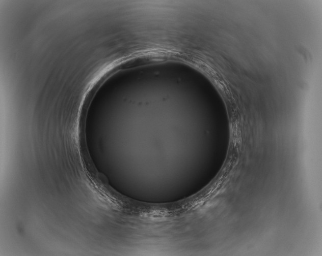 X0000111830196200907231324