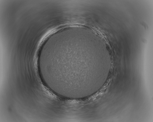 X0000111830197200907231324