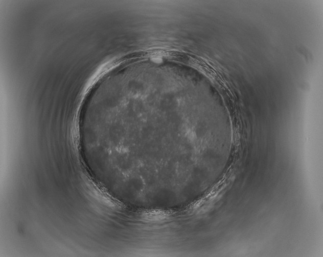 X0000111830198200907231324