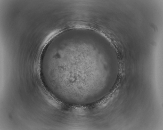 X0000111830199200907231324