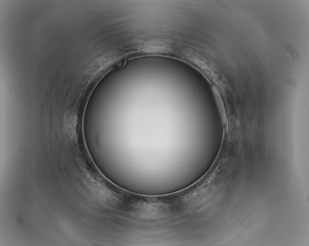 X0000111830201200907231324