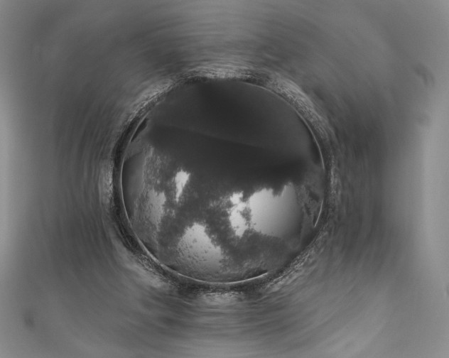 X0000111830202200907231323