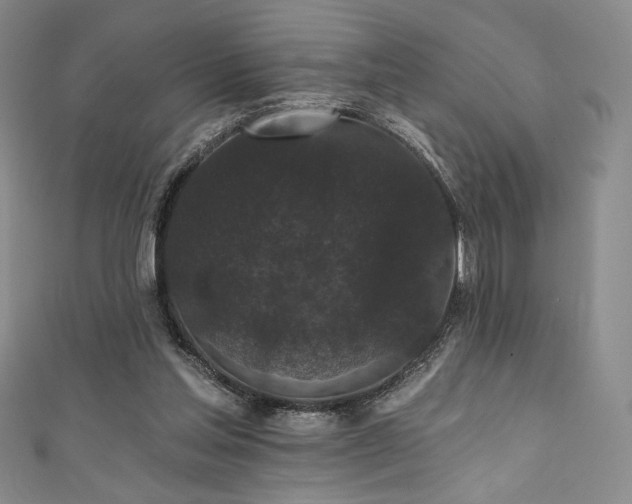 X0000111830205200907231323
