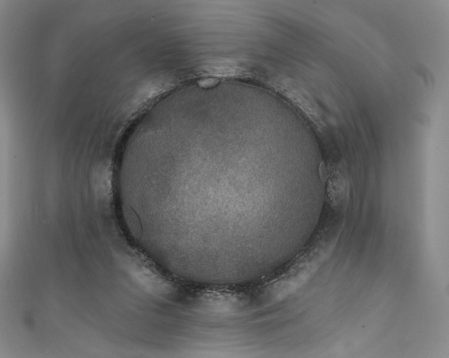 X0000111830207200907231323