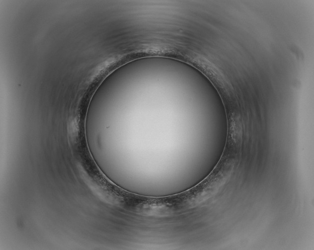 X0000111830208200907231323