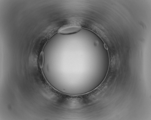 X0000111830209200907231323
