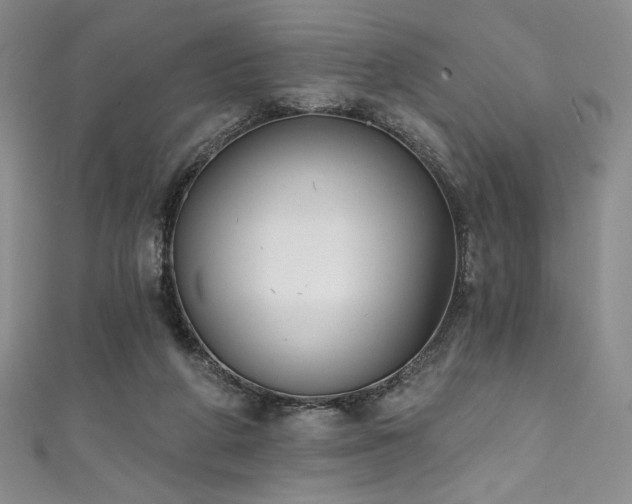 X0000111830210200907231323