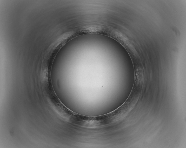 X0000111830212200907231323