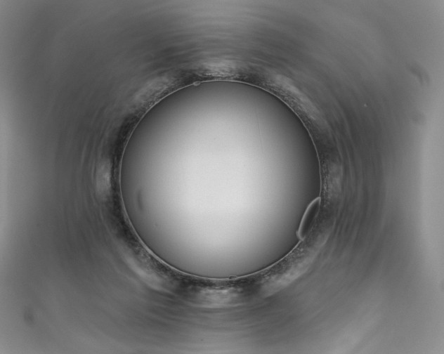 X0000111830213200907231323