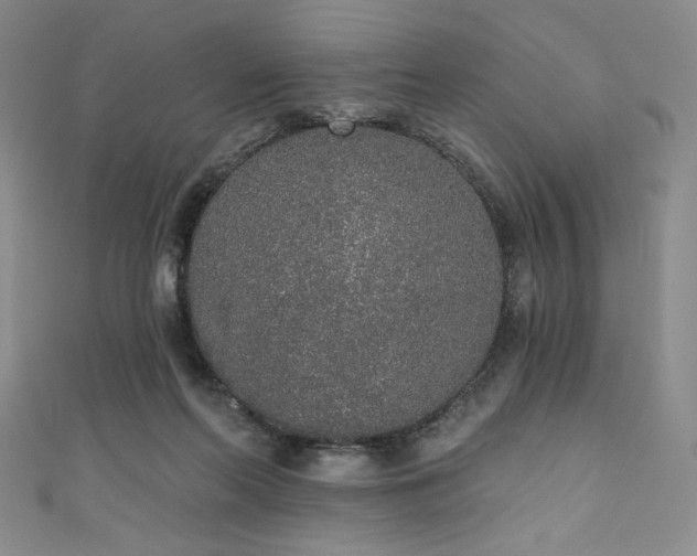 X0000111830214200907231323