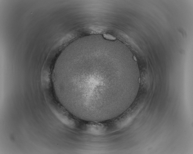 X0000111830215200907231323