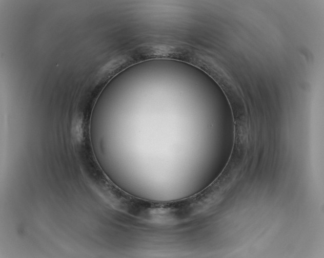X0000111830216200907231323