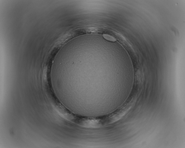 X0000111830217200907231323