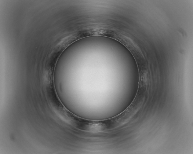 X0000111830218200907231323