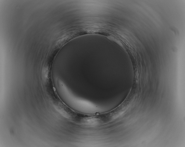 X0000111830219200907231323