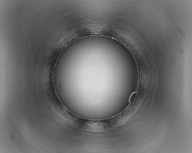 X0000111830221200907231323