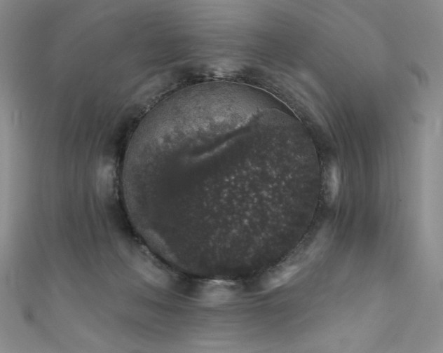 X0000111830222200907231323