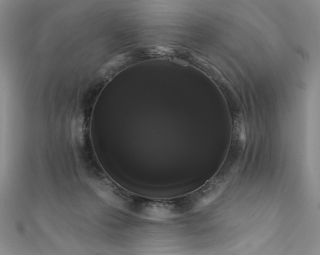 X0000111830223200907231323
