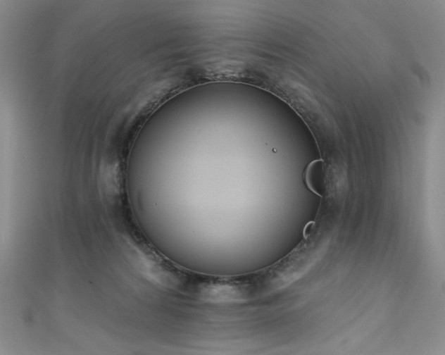 X0000111830224200907231323