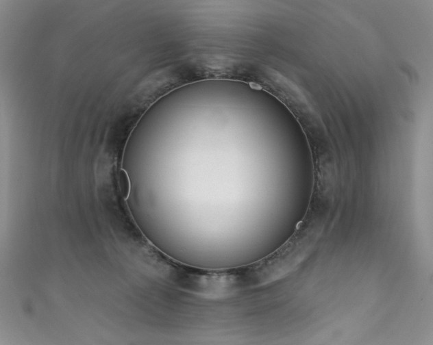 X0000111830225200907231323
