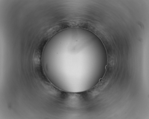 X0000111830226200907231323