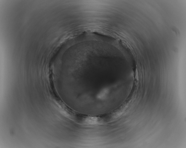 X0000111830227200907231323